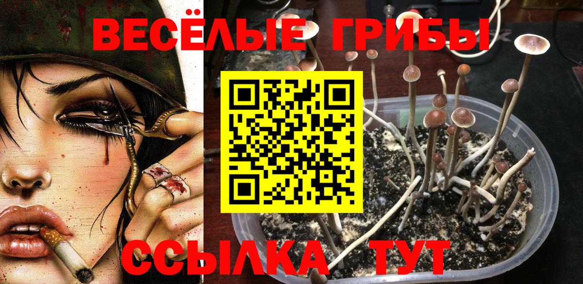 Рыбинск  Псилоцибиновые грибы GOLDEN TEACHER  Вход с VPN 